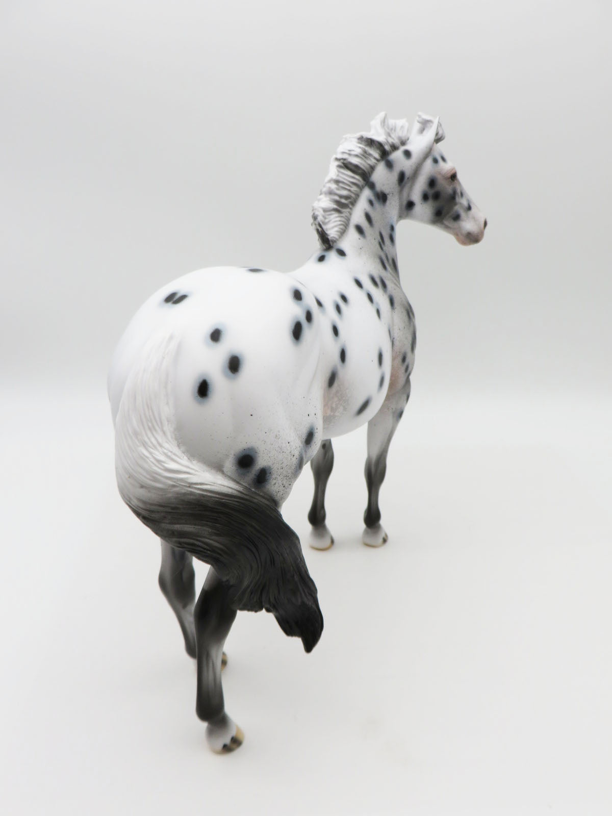 SAMPLE of Santas Helper Black Leopard Appaloosa Ideal Stock Horse By Dawn Quick