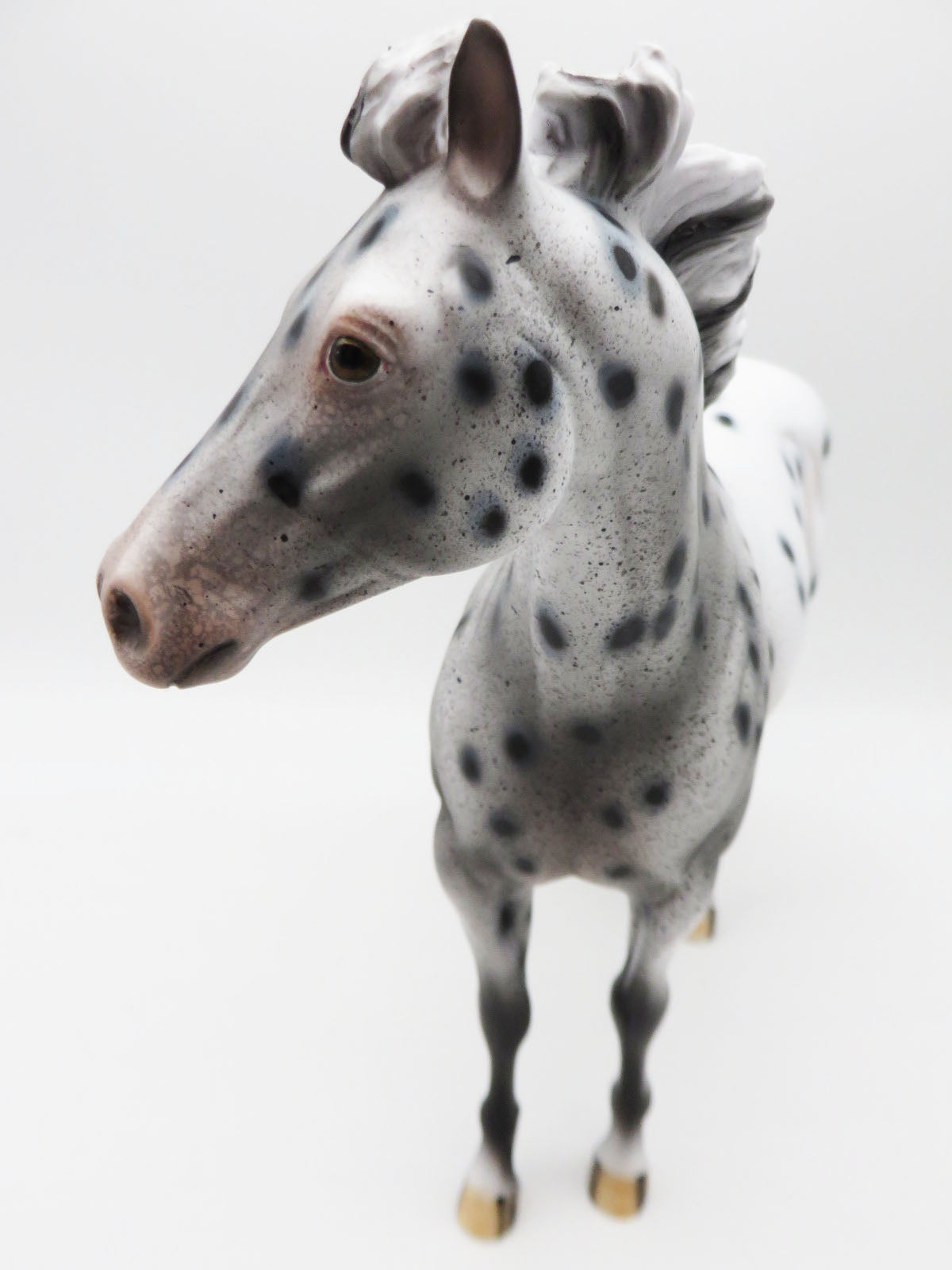 SAMPLE of Santas Helper Black Leopard Appaloosa Ideal Stock Horse By Dawn Quick
