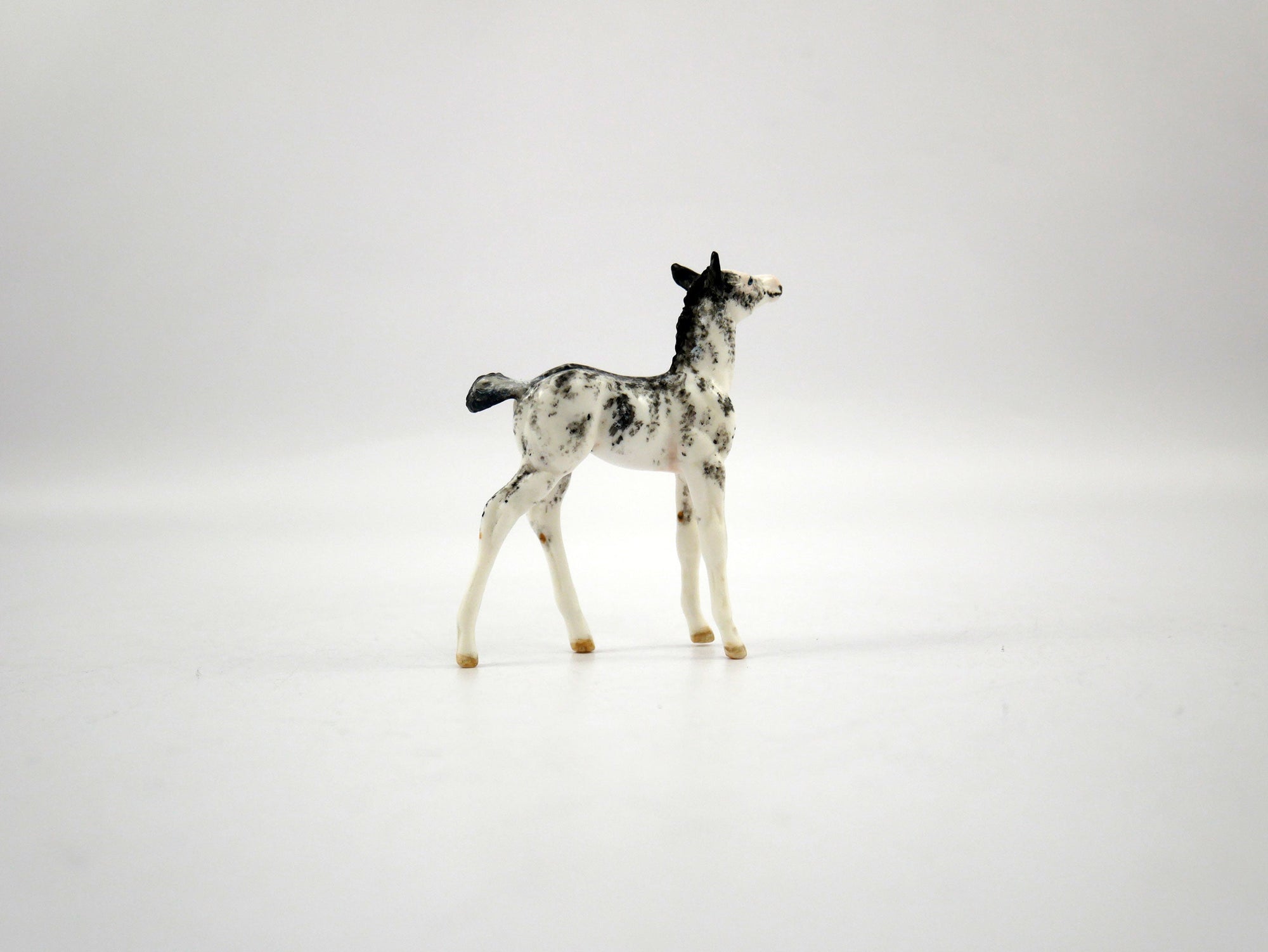 Sari-OOAK black Sabino Foal Chip  SB21