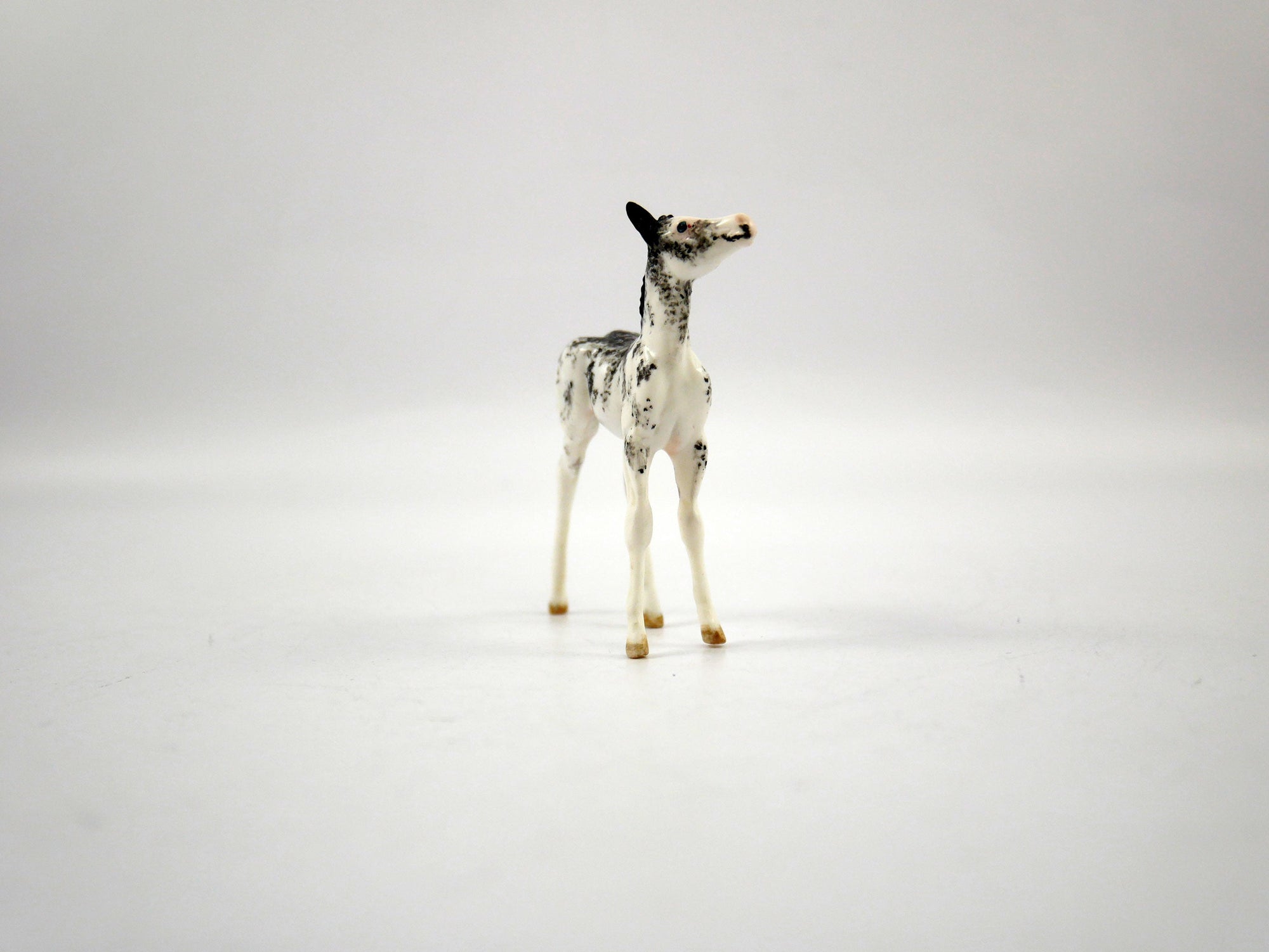 Sari-OOAK black Sabino Foal Chip  SB21