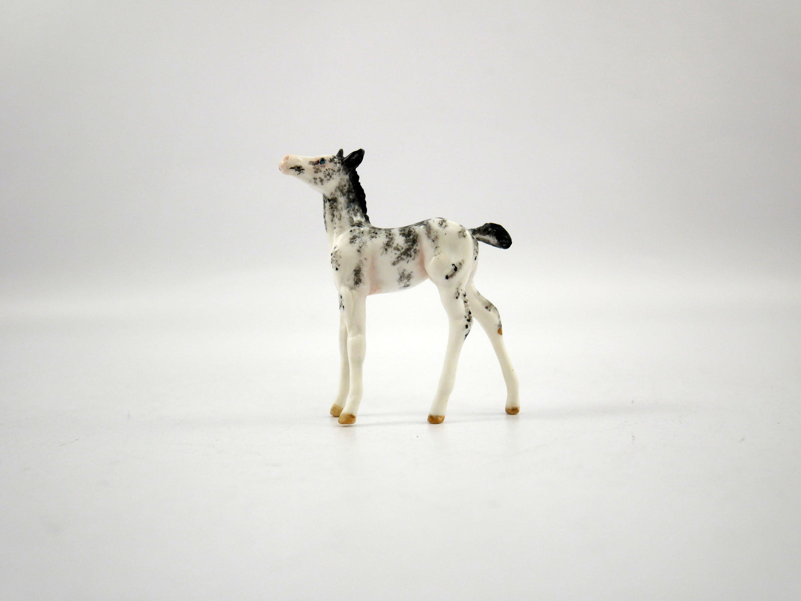 Sari-OOAK black Sabino Foal Chip  SB21