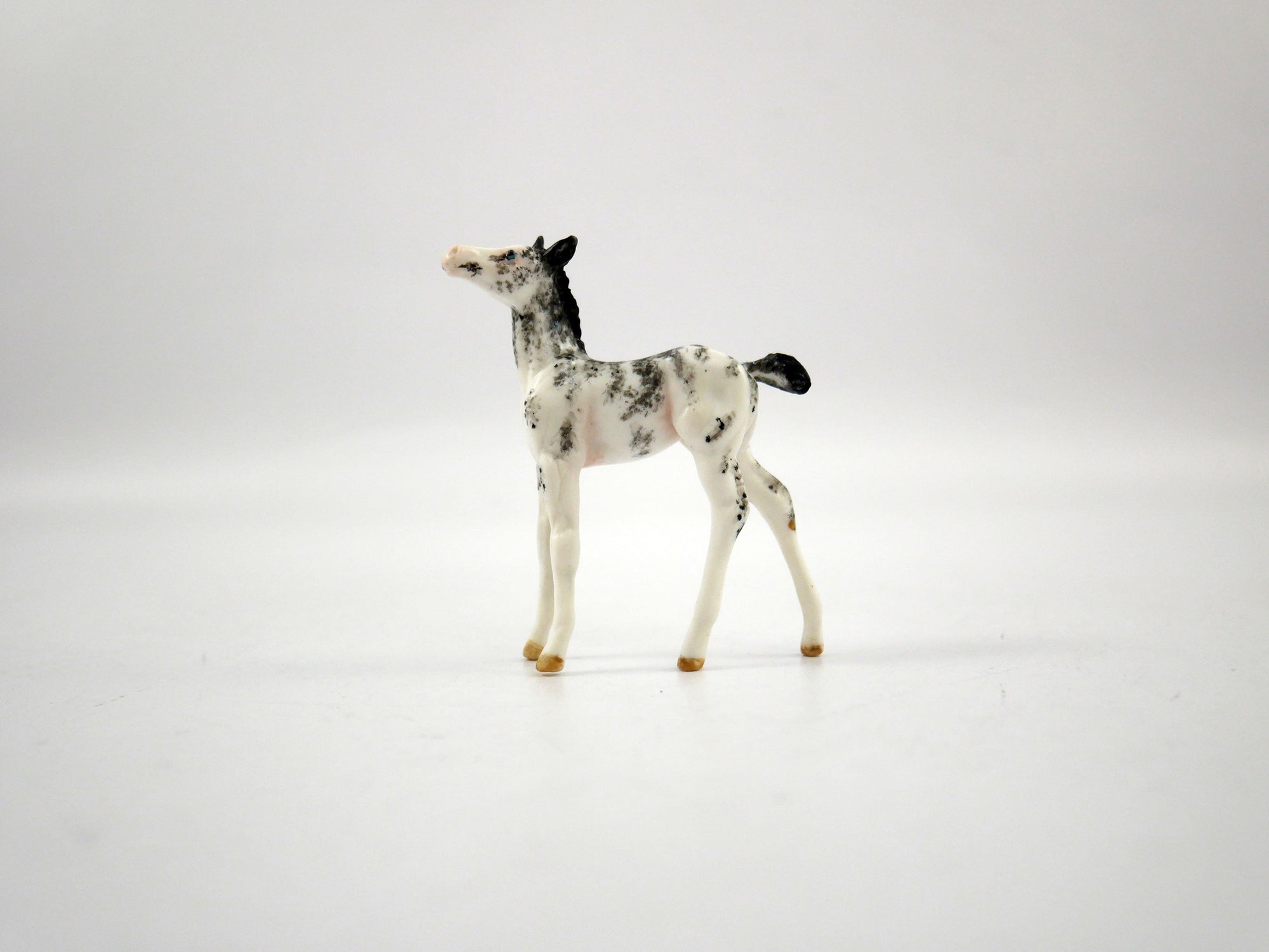 Sari-OOAK black Sabino Foal Chip  SB21