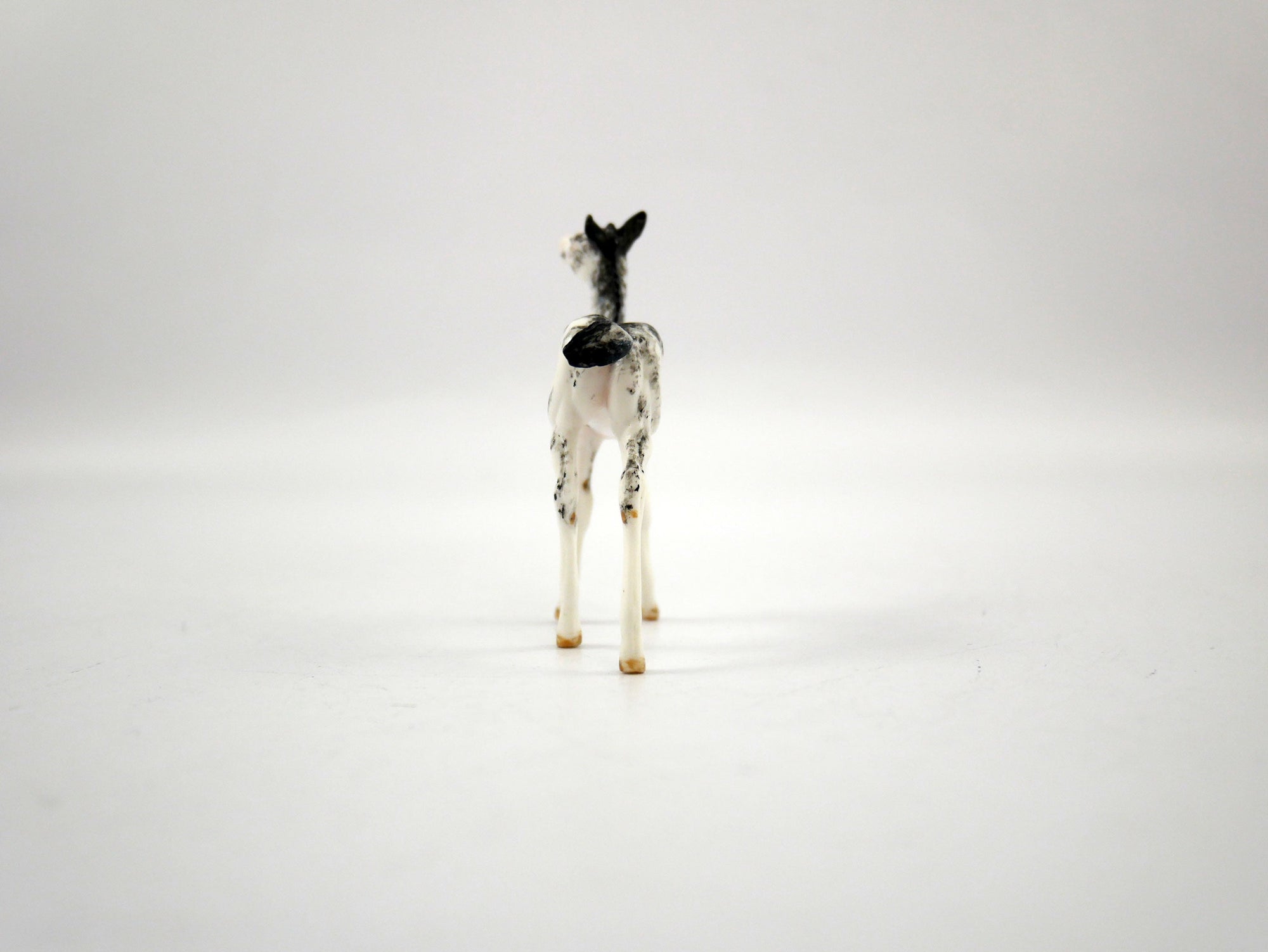 Sari-OOAK black Sabino Foal Chip  SB21