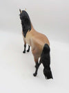 Satriani - OOAK Dapple Buckskin Andalusian By Caroline Boydston 3/17/23