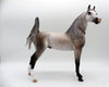 Sausalito-OOAK Dapple Rose Grey Arabian Painted by Caroline Boydston 10/18/21