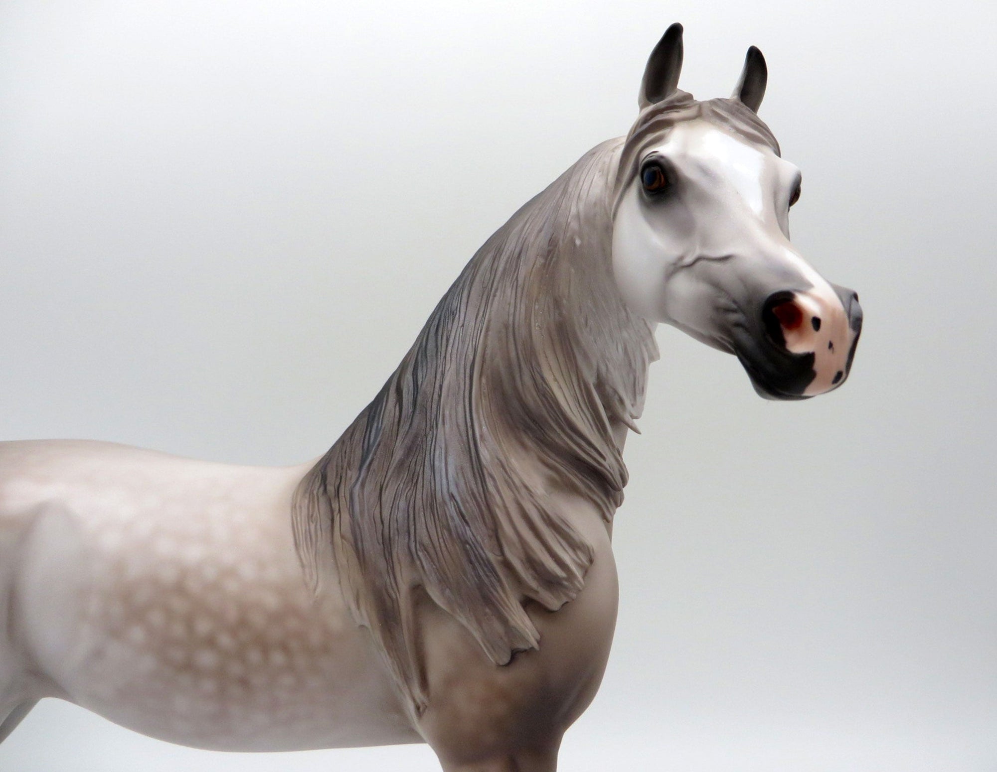 Sausalito-OOAK Dapple Rose Grey Arabian Painted by Caroline Boydston 10/18/21