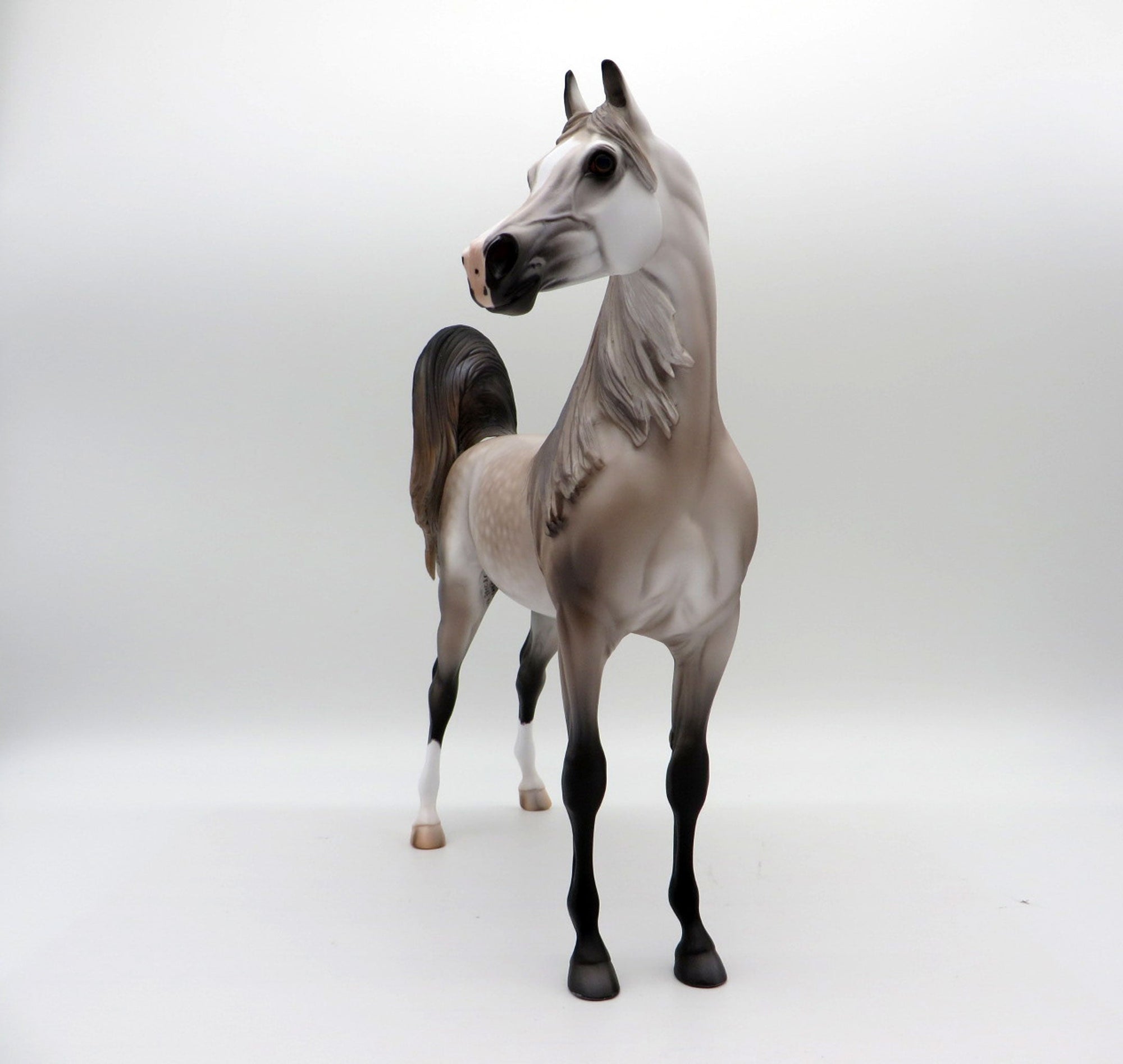 Sausalito-OOAK Dapple Rose Grey Arabian Painted by Caroline Boydston 10/18/21
