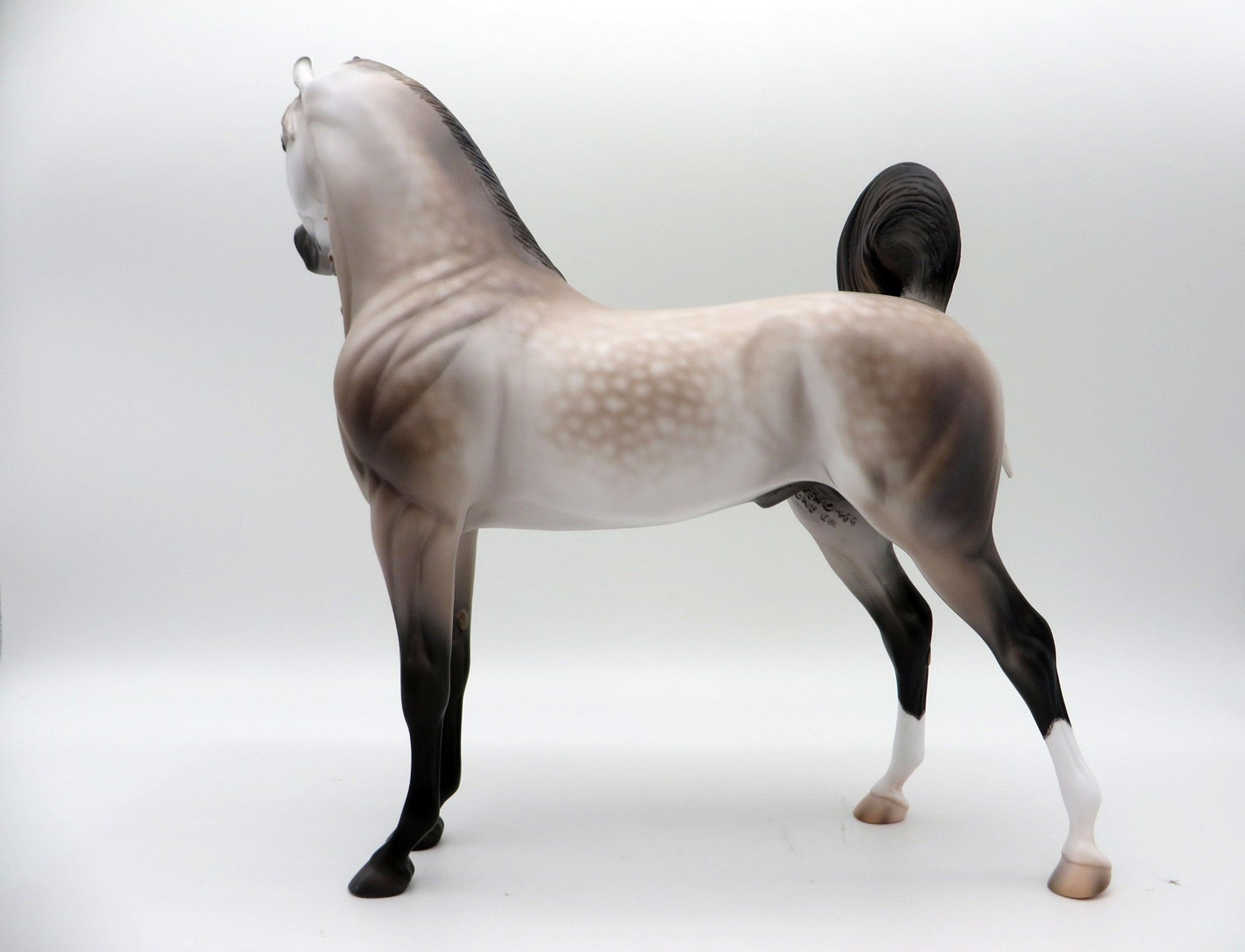 Sausalito-OOAK Dapple Rose Grey Arabian Painted by Caroline Boydston 10/18/21