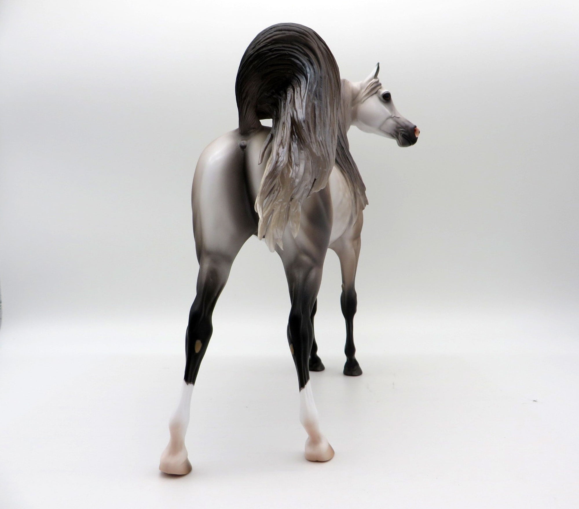 Sausalito-OOAK Dapple Rose Grey Arabian Painted by Caroline Boydston 10/18/21