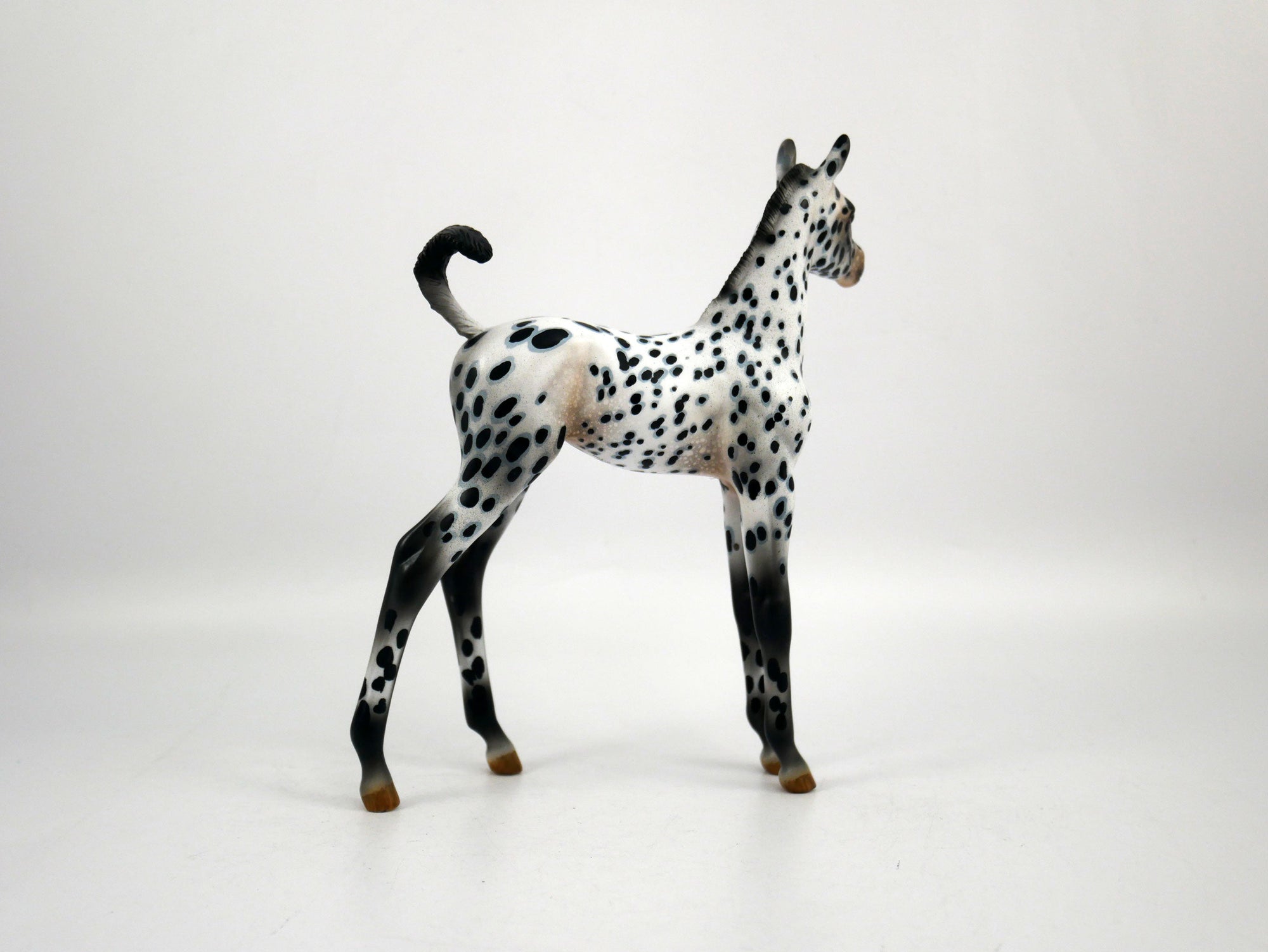 Score-OOAK Loud Appaloosa  Arabian Foal Painted by Audrey Dixon SB21