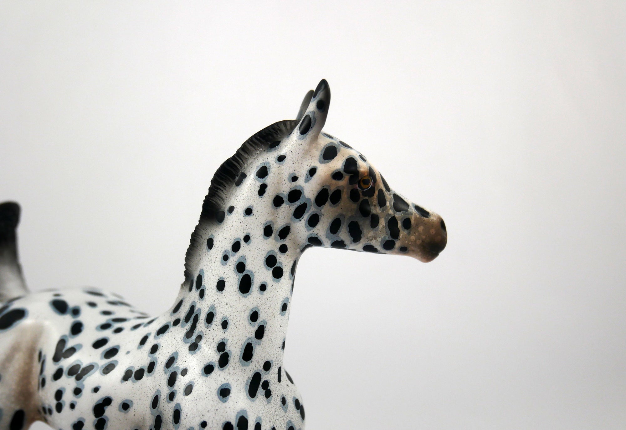 Score-OOAK Loud Appaloosa  Arabian Foal Painted by Audrey Dixon SB21