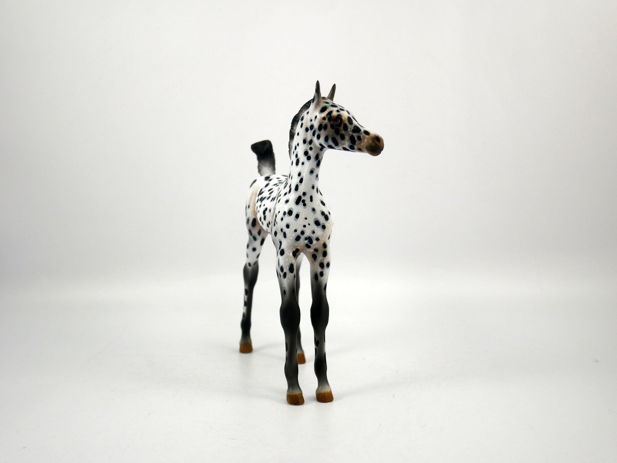Score-OOAK Loud Appaloosa  Arabian Foal Painted by Audrey Dixon SB21