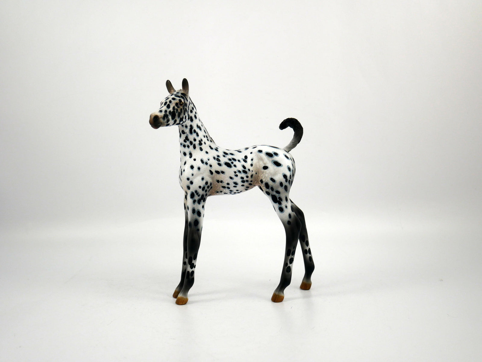 Score-OOAK Loud Appaloosa  Arabian Foal Painted by Audrey Dixon SB21