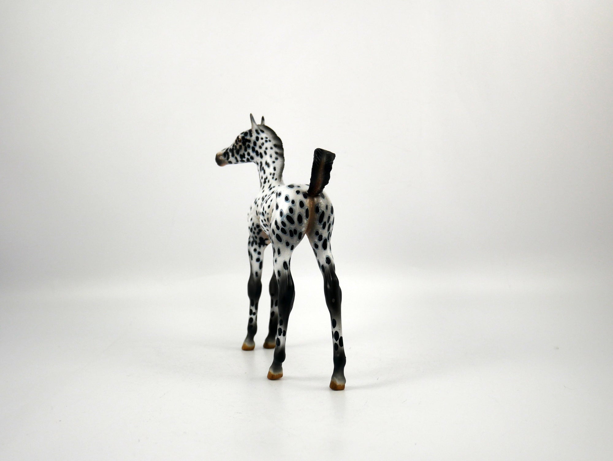 Score-OOAK Loud Appaloosa  Arabian Foal Painted by Audrey Dixon SB21