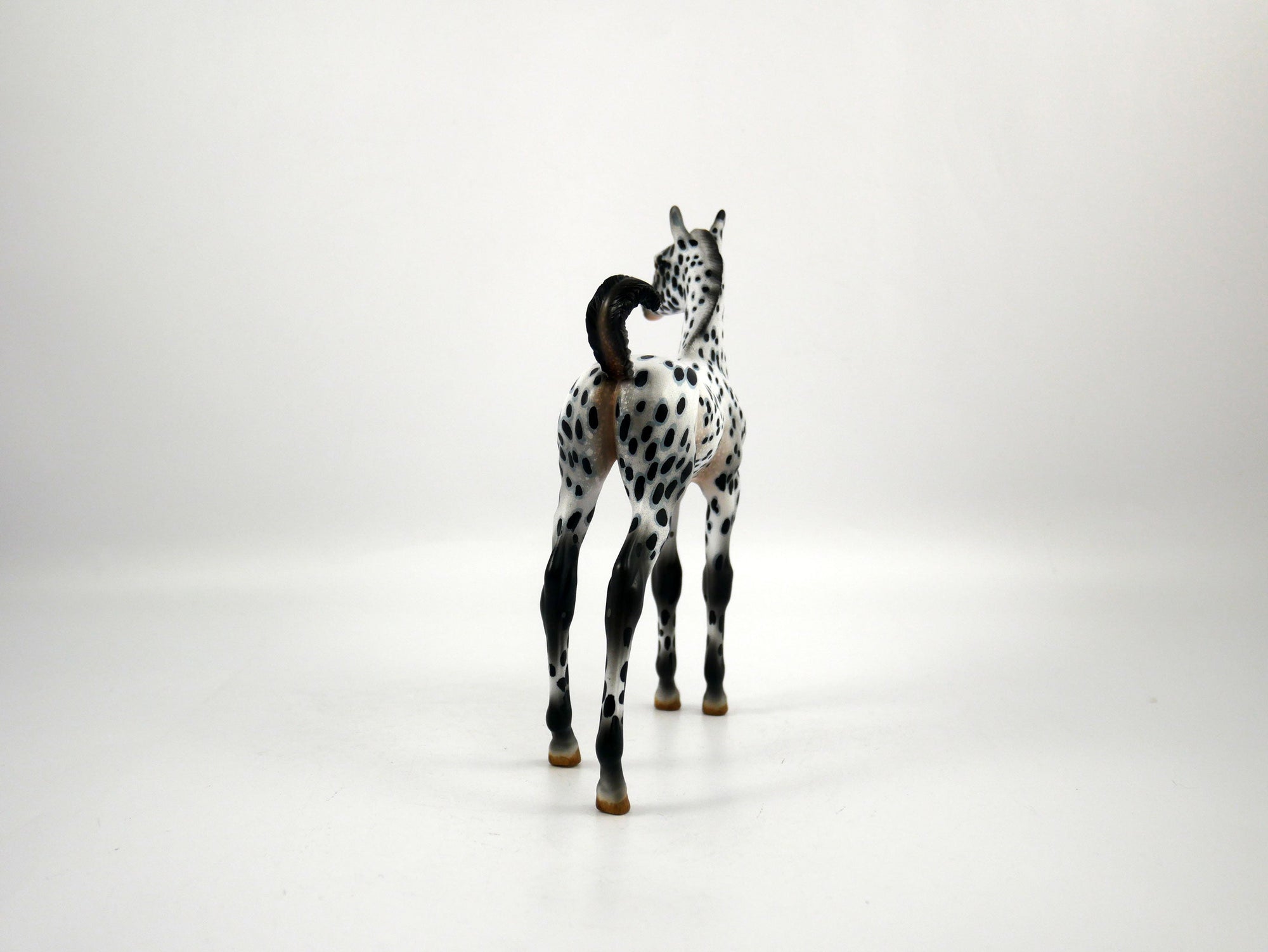 Score-OOAK Loud Appaloosa  Arabian Foal Painted by Audrey Dixon SB21