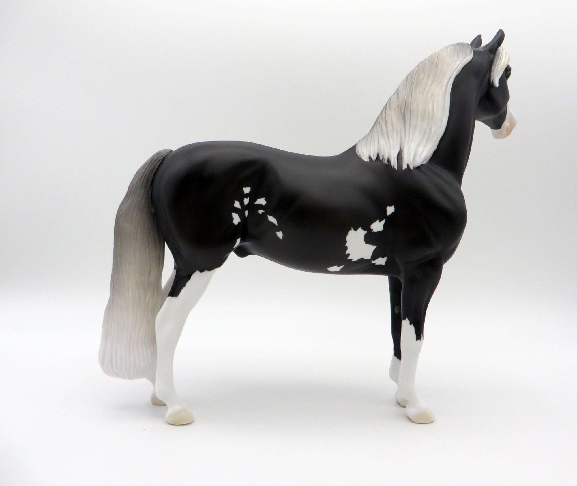 Scorpius-OOAK Black Pinto Morgan SHCF 2021