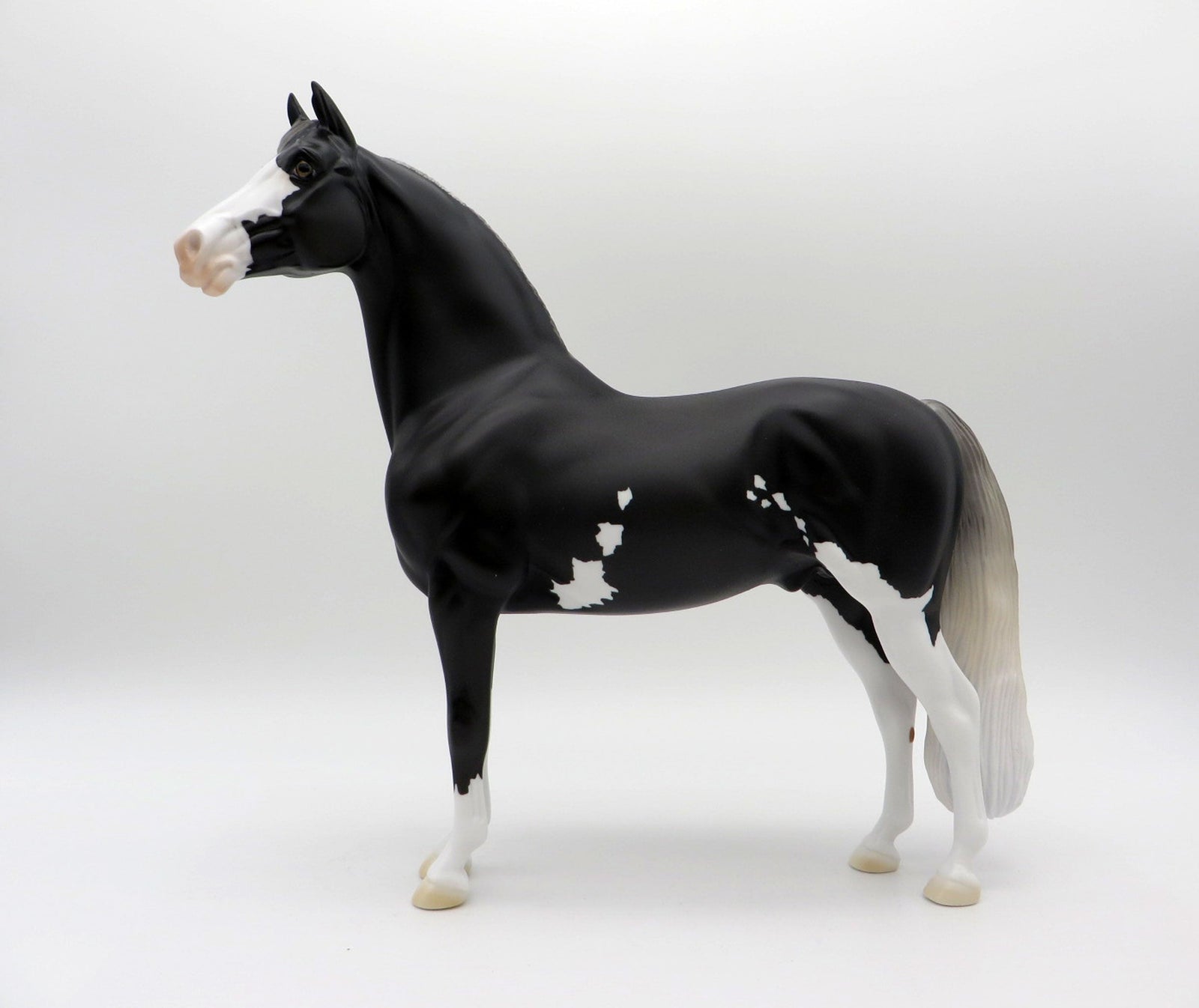 Scorpius-OOAK Black Pinto Morgan SHCF 2021