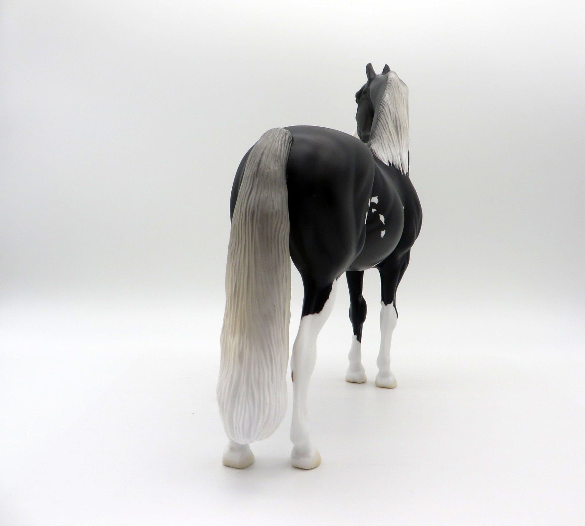 Scorpius-OOAK Black Pinto Morgan SHCF 2021