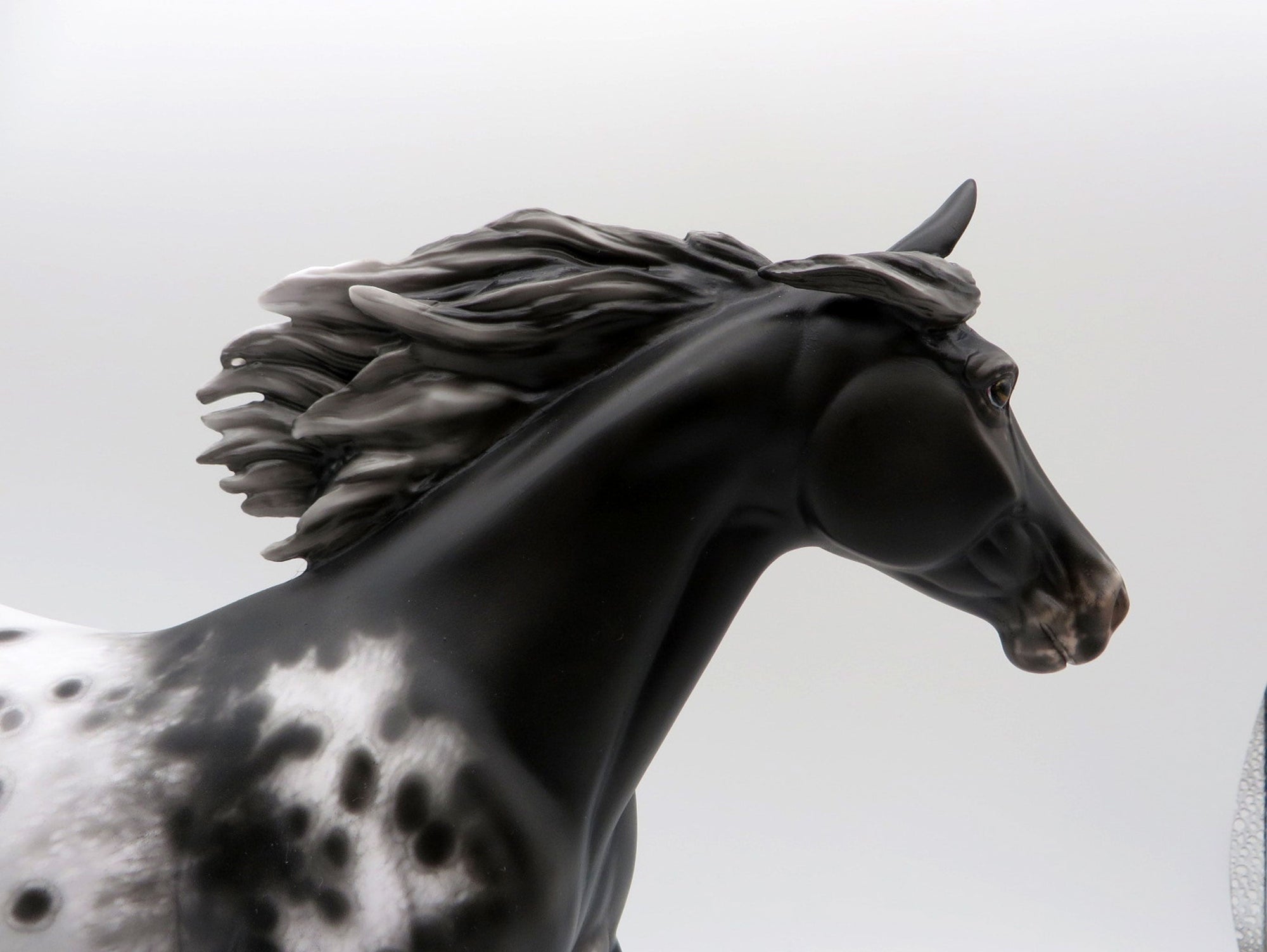 Scrambler-OOAK Appaloosa Palouse Painted By Sheryl Leisure 5/11/21