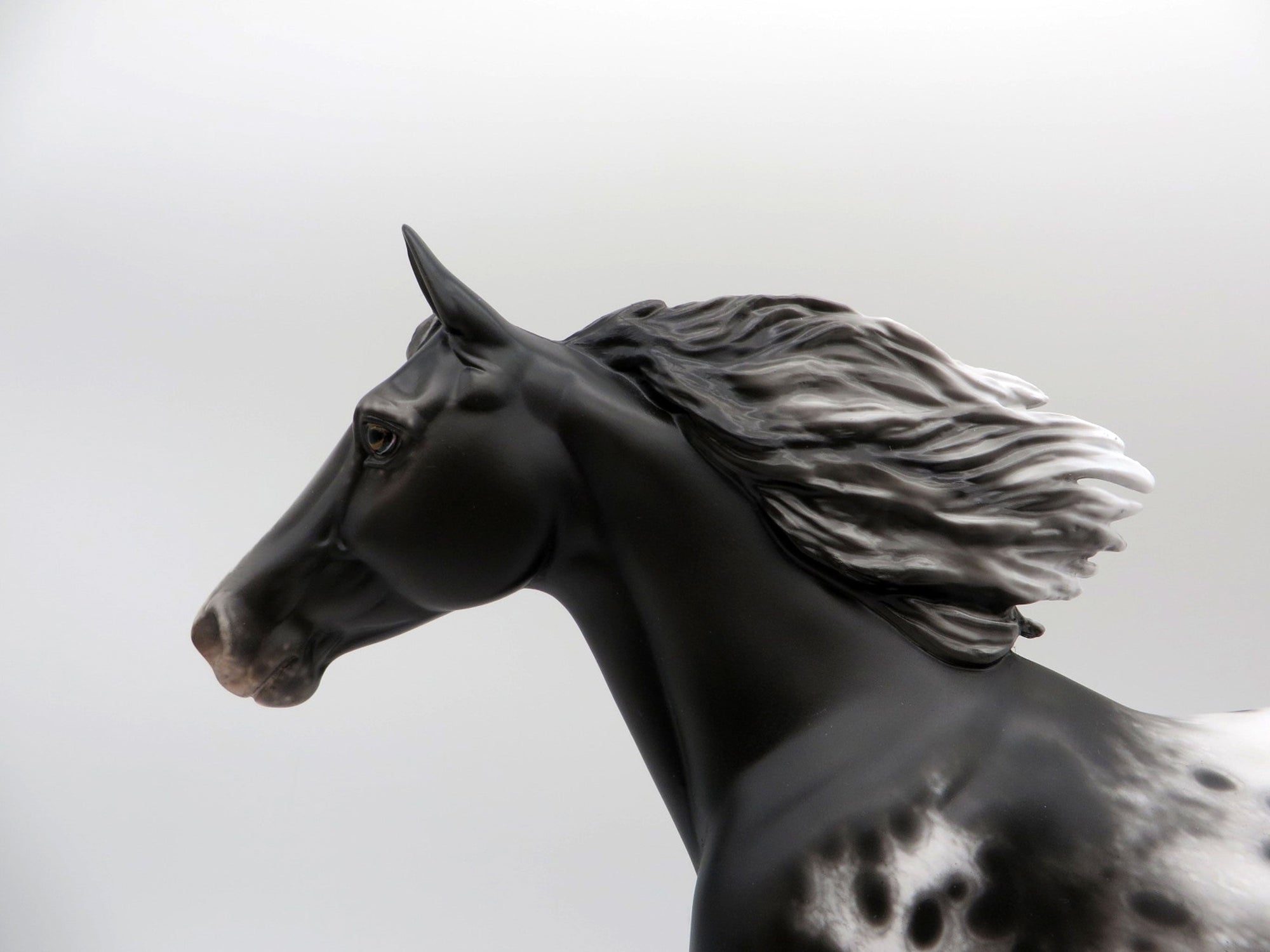 Scrambler-OOAK Appaloosa Palouse Painted By Sheryl Leisure 5/11/21