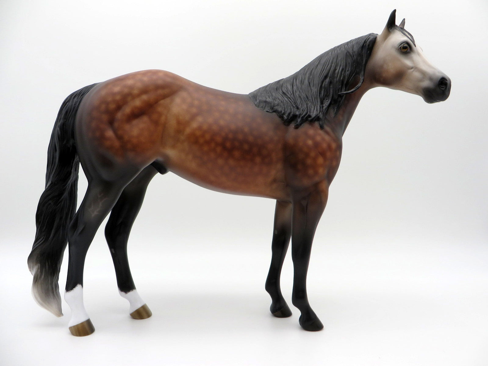 Screamin Swing-OOAK Dapple Bay going Grey ISH SHCF 21