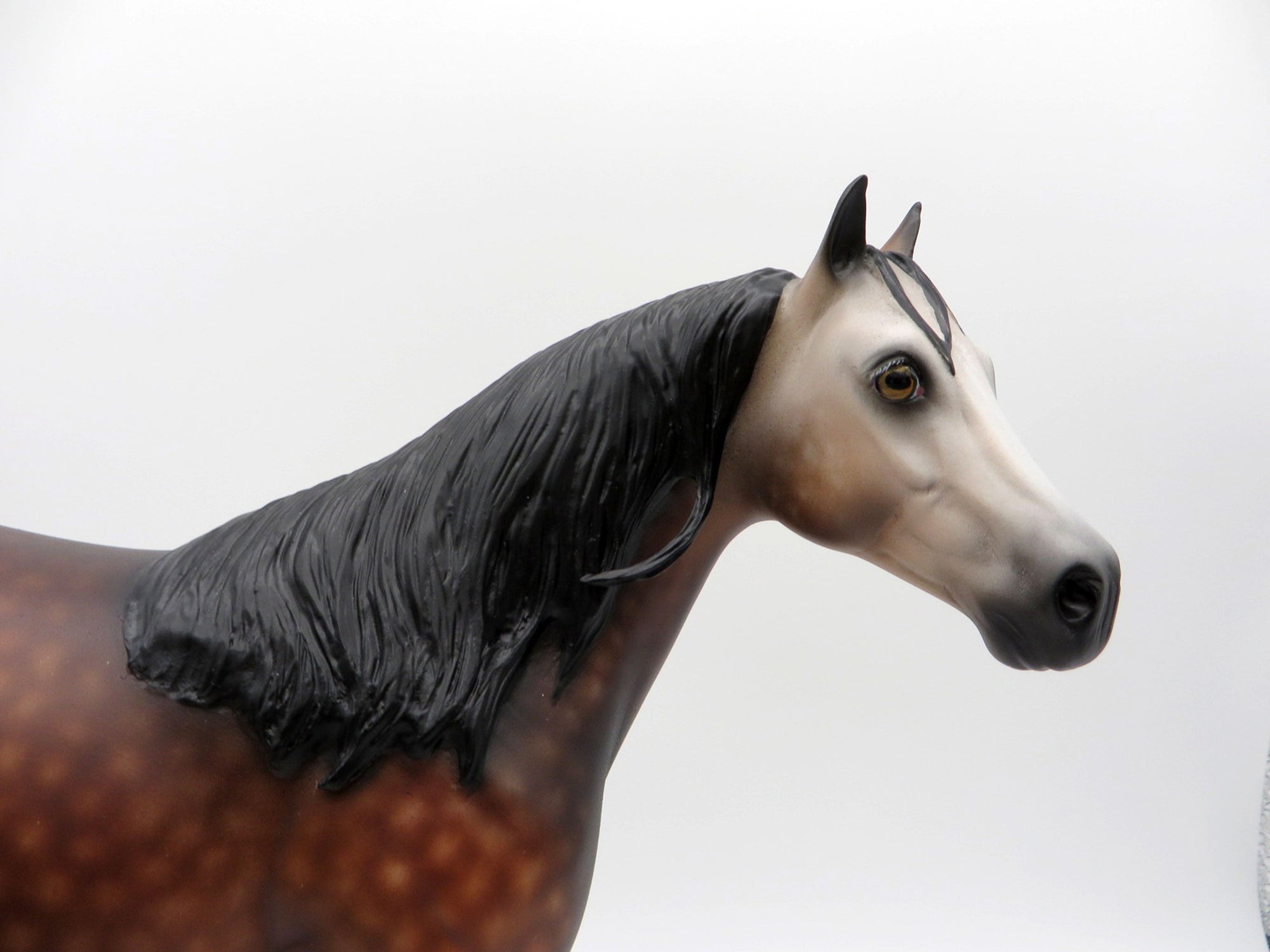 Screamin Swing-OOAK Dapple Bay going Grey ISH SHCF 21