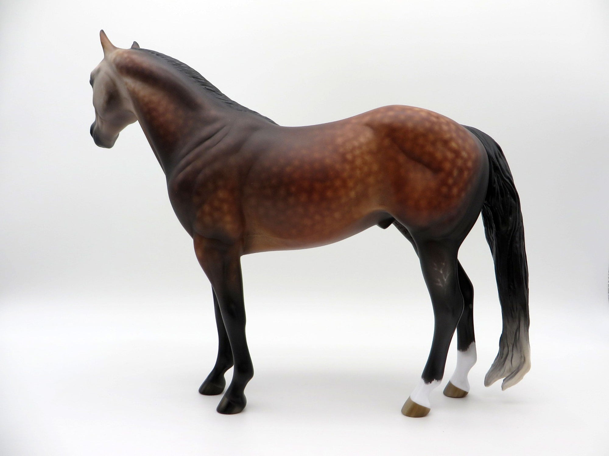 Screamin Swing-OOAK Dapple Bay going Grey ISH SHCF 21