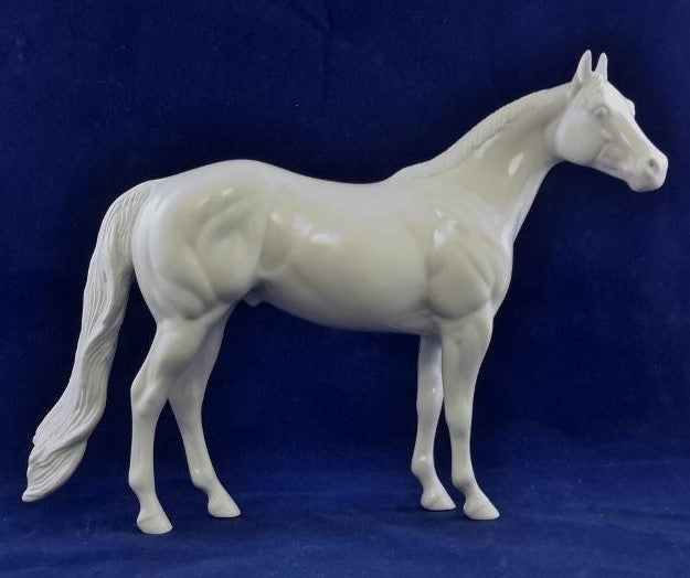 TRADITIONAL SIZE Shark Attack and Whale Shark Patterns | DAH Special July 2023