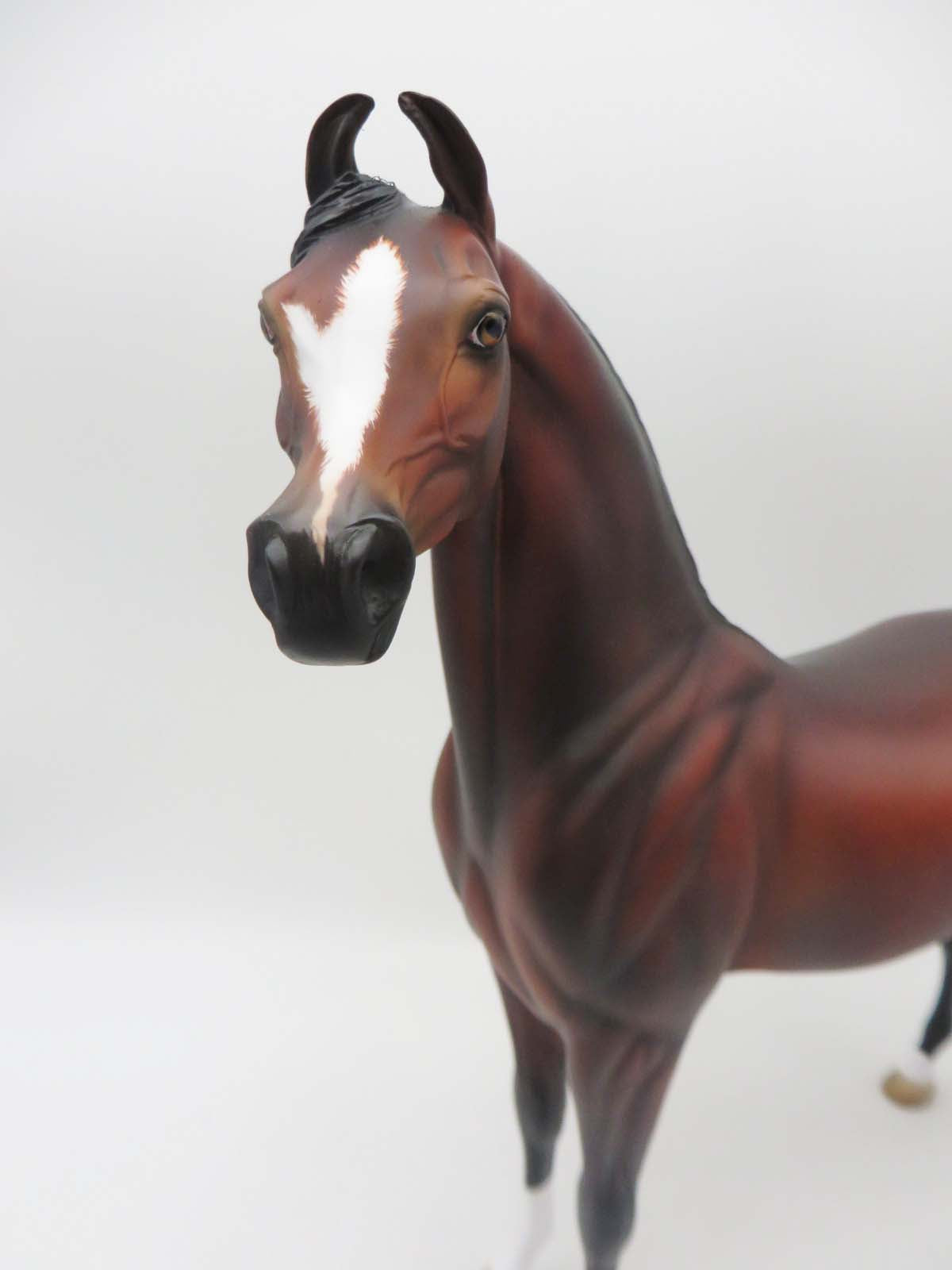 Sebastian - OOAK - Custom Bay Arabian Marwari By Angela Marleau - SHCF23
