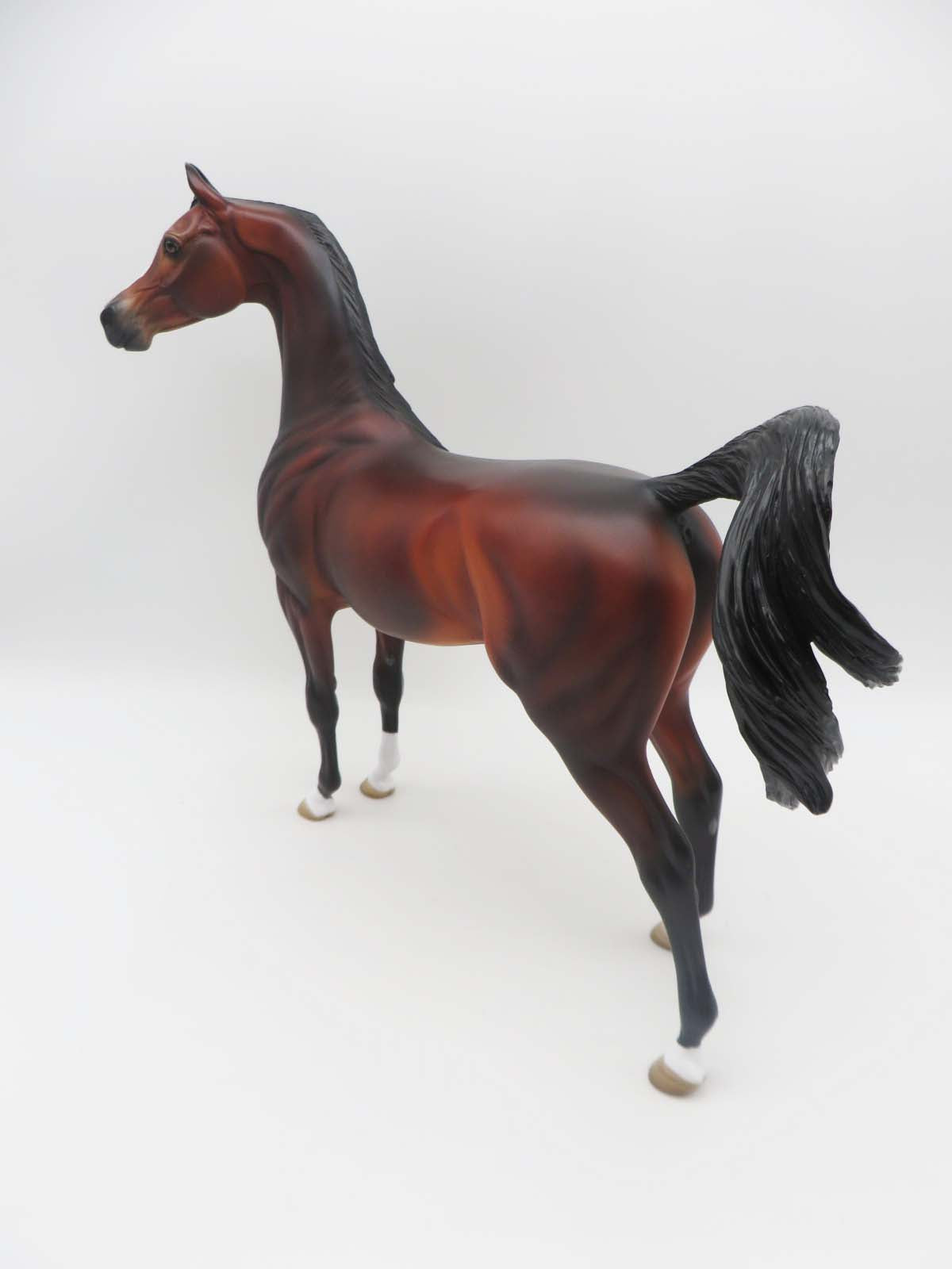 Sebastian - OOAK - Custom Bay Arabian Marwari By Angela Marleau - SHCF23