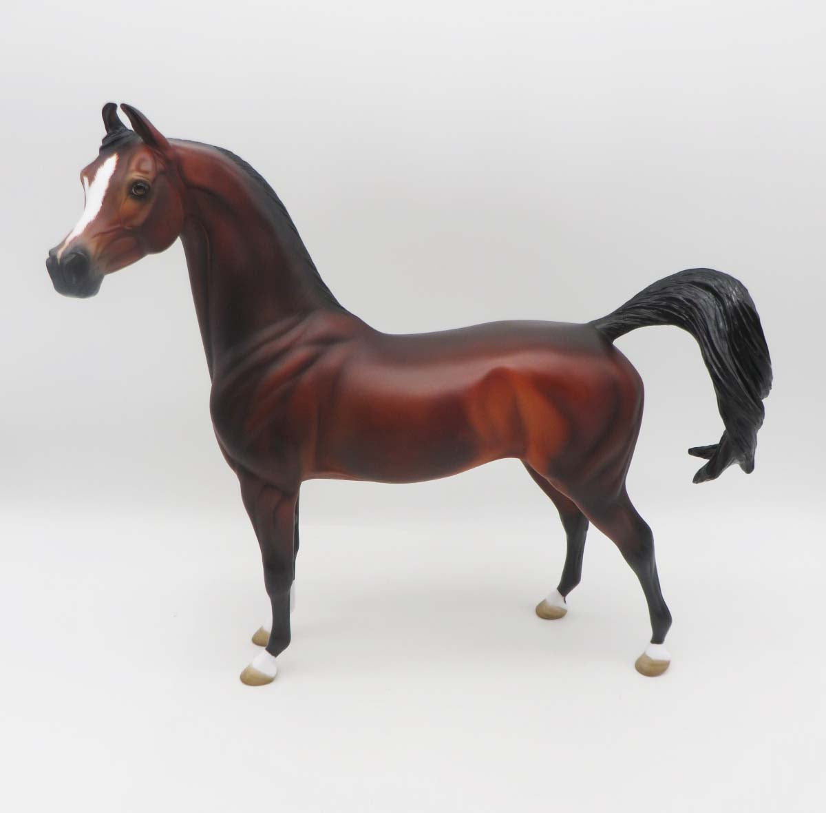 Sebastian - OOAK - Custom Bay Arabian Marwari By Angela Marleau - SHCF23