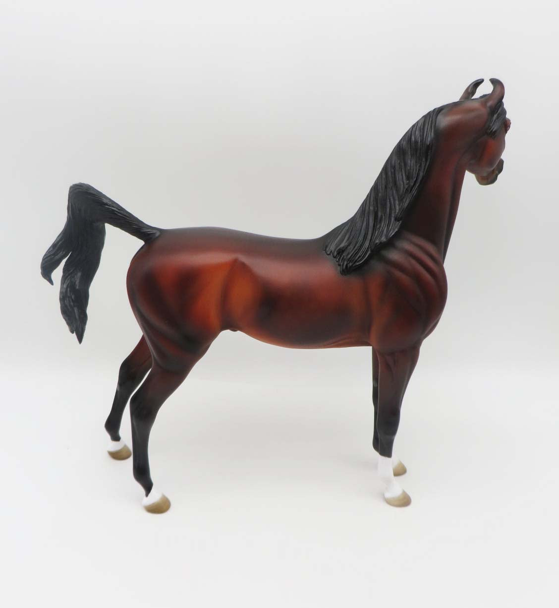 Sebastian - OOAK - Custom Bay Arabian Marwari By Angela Marleau - SHCF23