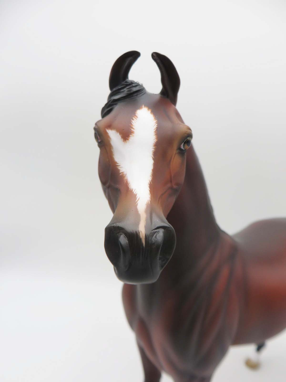 Sebastian - OOAK - Custom Bay Arabian Marwari By Angela Marleau - SHCF23