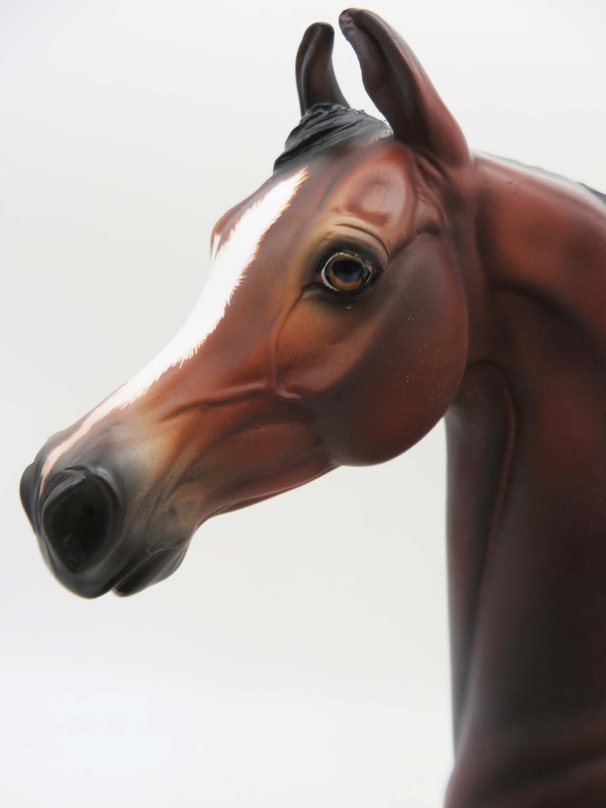 Sebastian - OOAK - Custom Bay Arabian Marwari By Angela Marleau - SHCF23