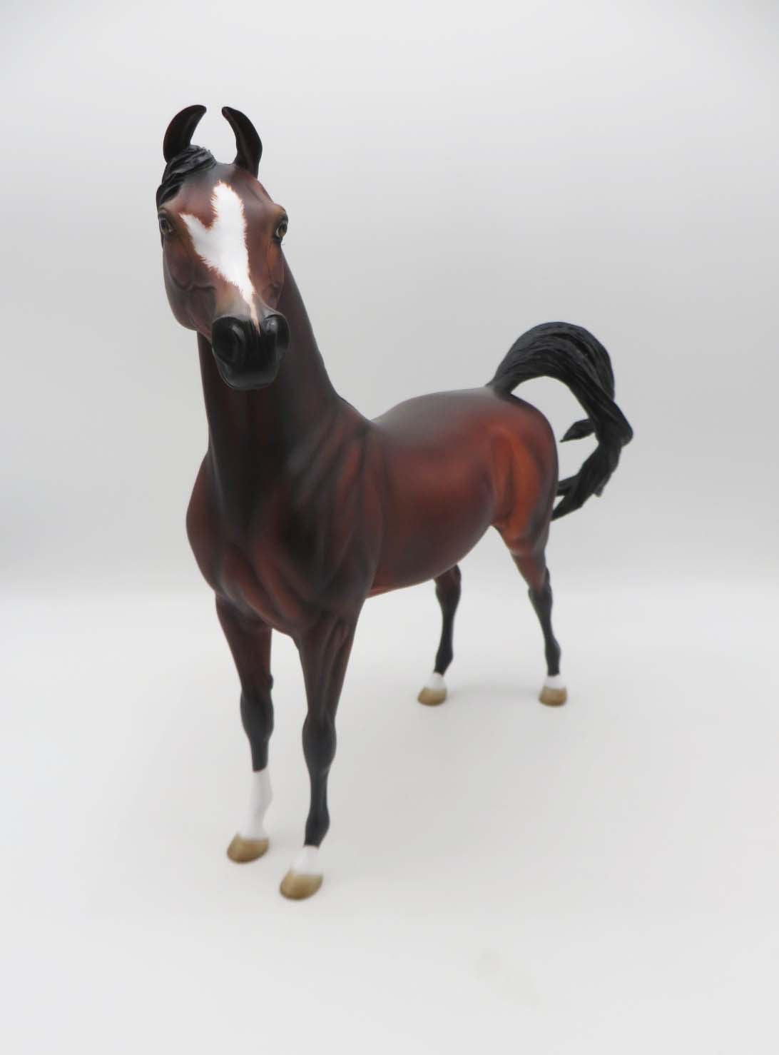 Sebastian - OOAK - Custom Bay Arabian Marwari By Angela Marleau - SHCF23