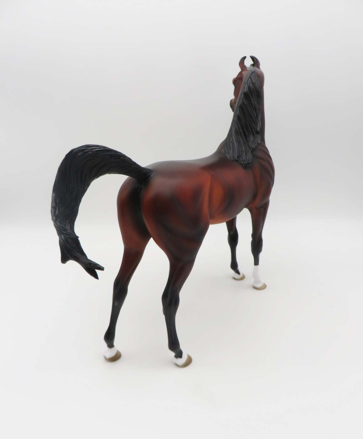 Sebastian - OOAK - Custom Bay Arabian Marwari By Angela Marleau - SHCF23