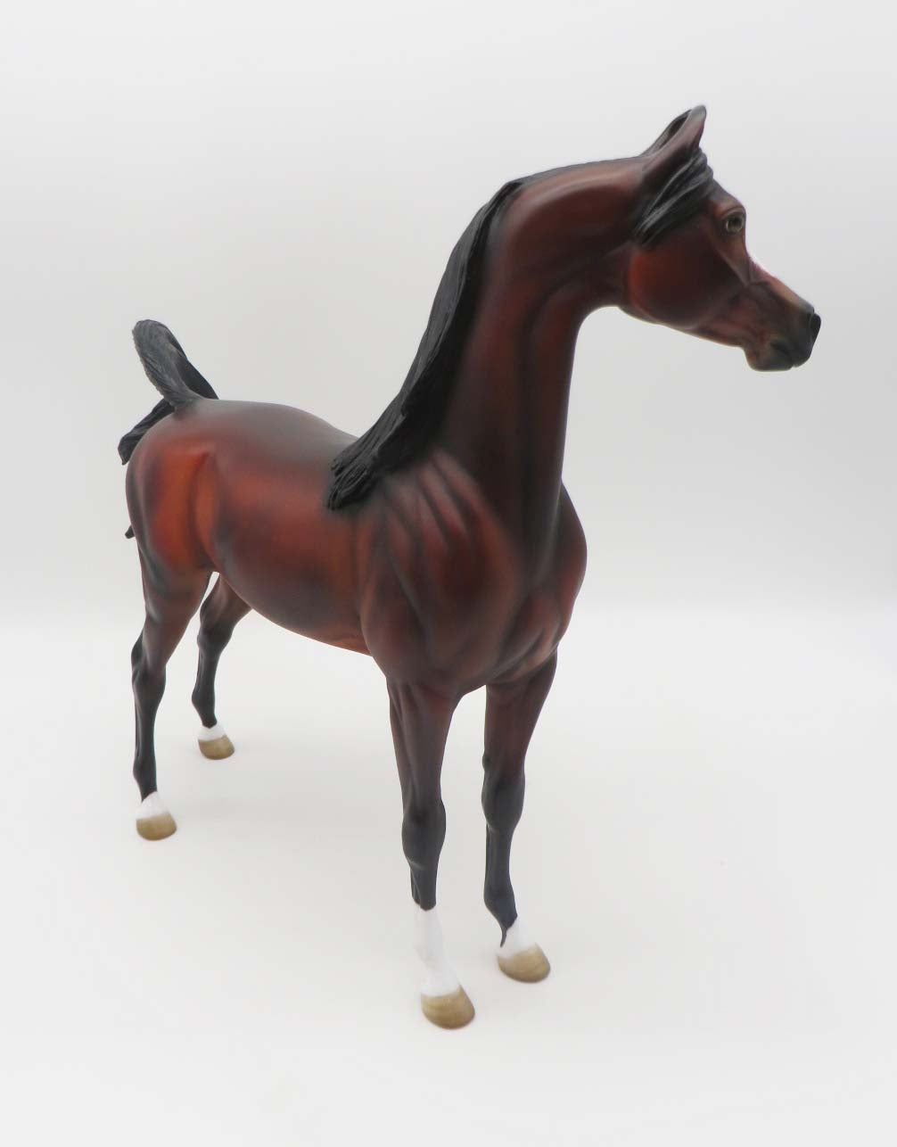 Sebastian - OOAK - Custom Bay Arabian Marwari By Angela Marleau - SHCF23