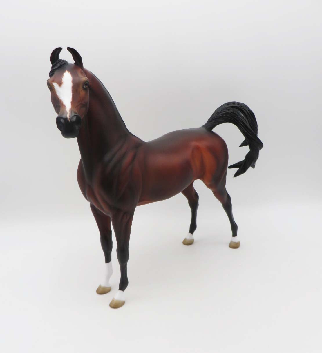 Sebastian - OOAK - Custom Bay Arabian Marwari By Angela Marleau - SHCF23
