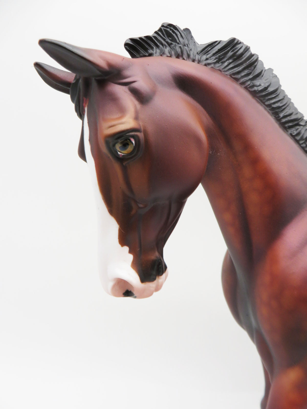 Secret Admirer - OOAK - Custom Dappled Bay Palouse by Dawn Quick - Best Offers 1/16/23