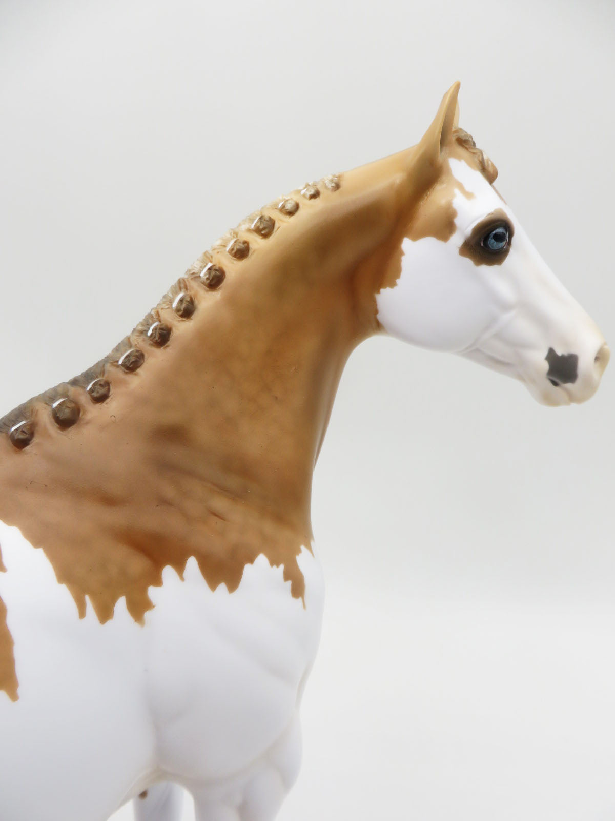 Seismic-OOAK Sooty Palomino Splash By Myla Pearce 5/19/23