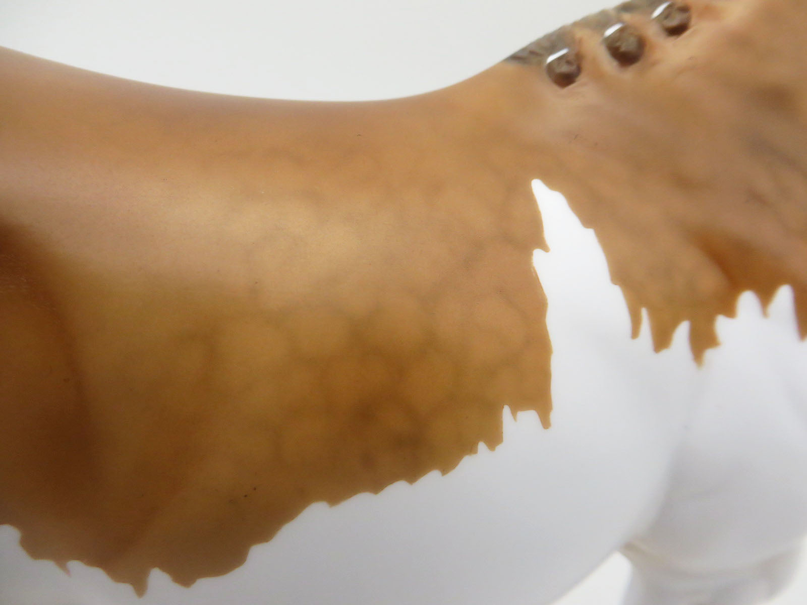 Seismic-OOAK Sooty Palomino Splash By Myla Pearce 5/19/23