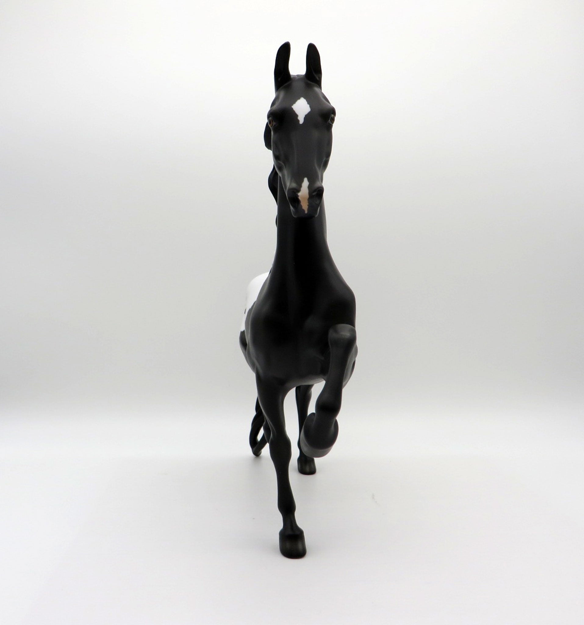 Seuss-OOAK Black Appaloosa Saddlebred Painted By  Ellen Robbins EQ 2021