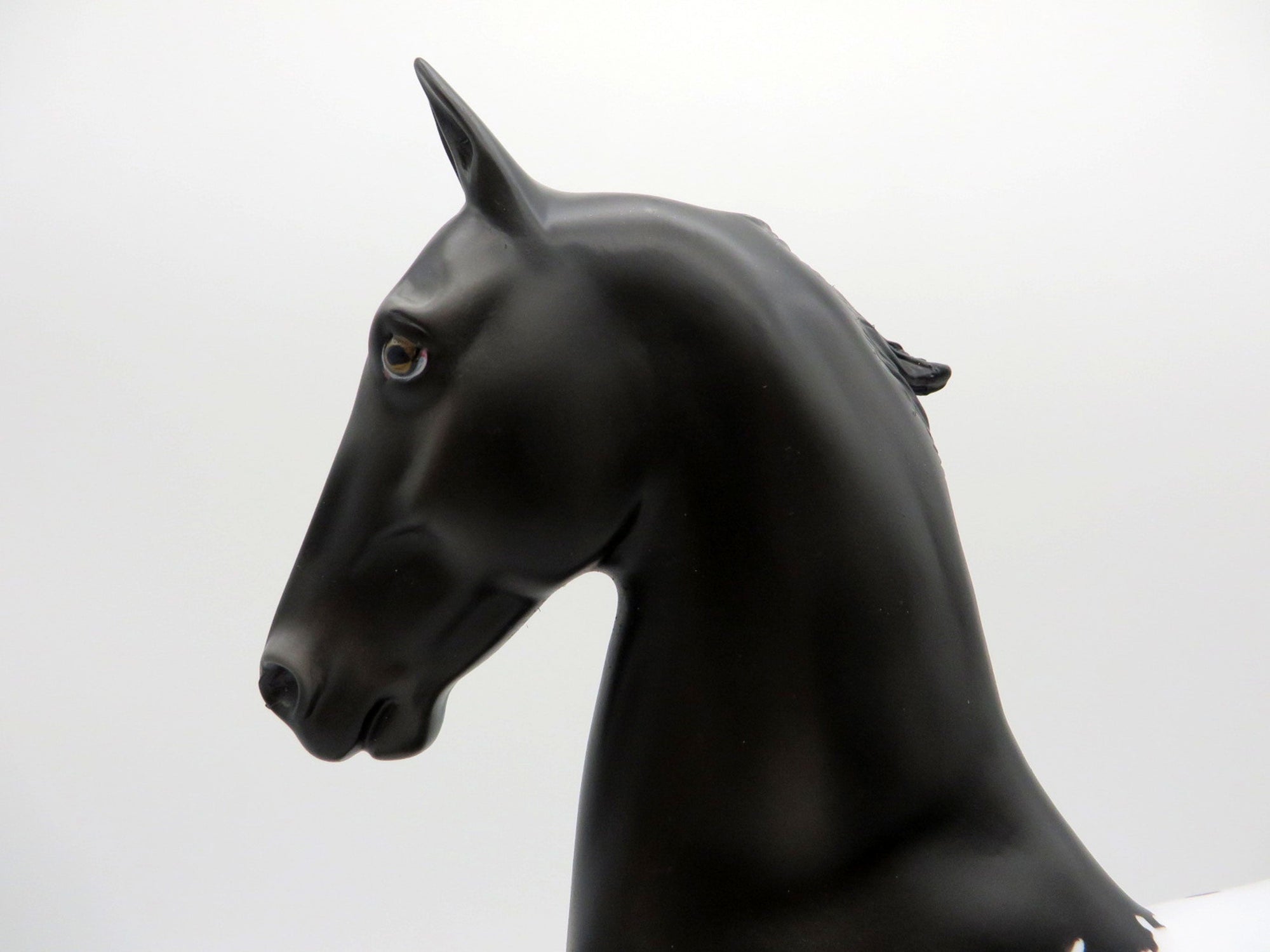 Seuss-OOAK Black Appaloosa Saddlebred Painted By  Ellen Robbins EQ 2021