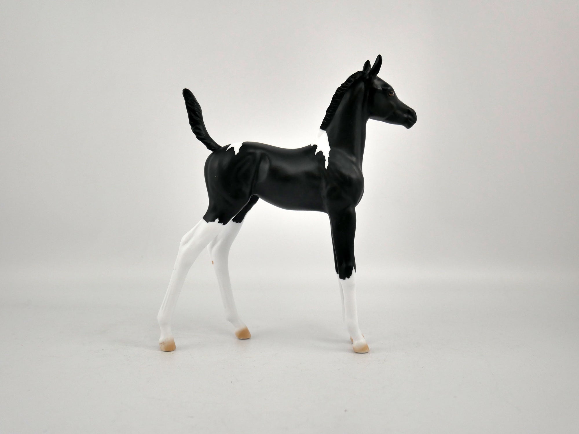 SHADOW-OOAK BLACK TOBIANO FOAL BY ELLEN ROBBINS 12/09/20