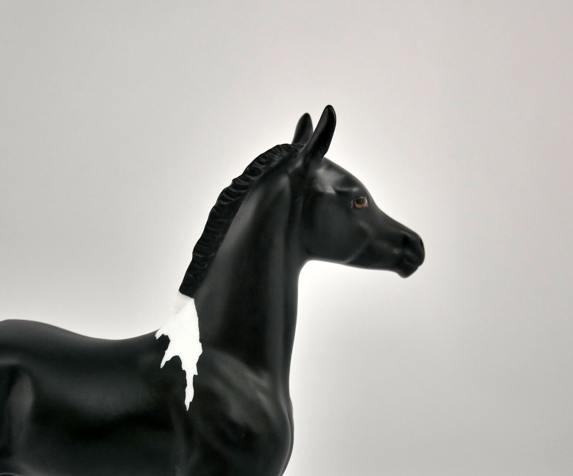 SHADOW-OOAK BLACK TOBIANO FOAL BY ELLEN ROBBINS 12/09/20