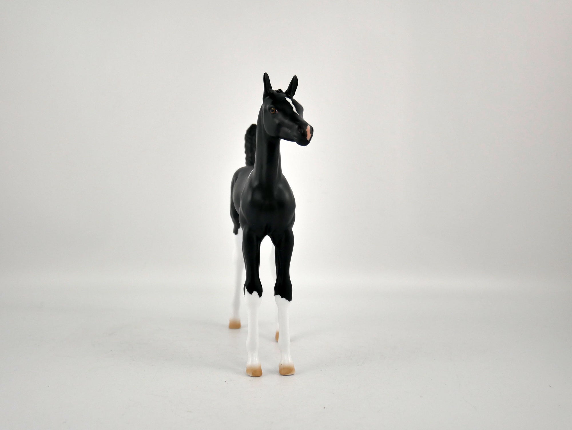 SHADOW-OOAK BLACK TOBIANO FOAL BY ELLEN ROBBINS 12/09/20