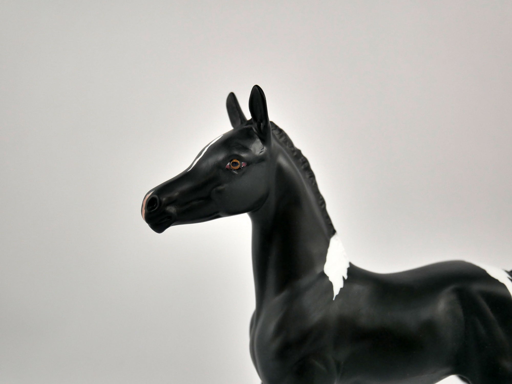 SHADOW-OOAK BLACK TOBIANO FOAL BY ELLEN ROBBINS 12/09/20