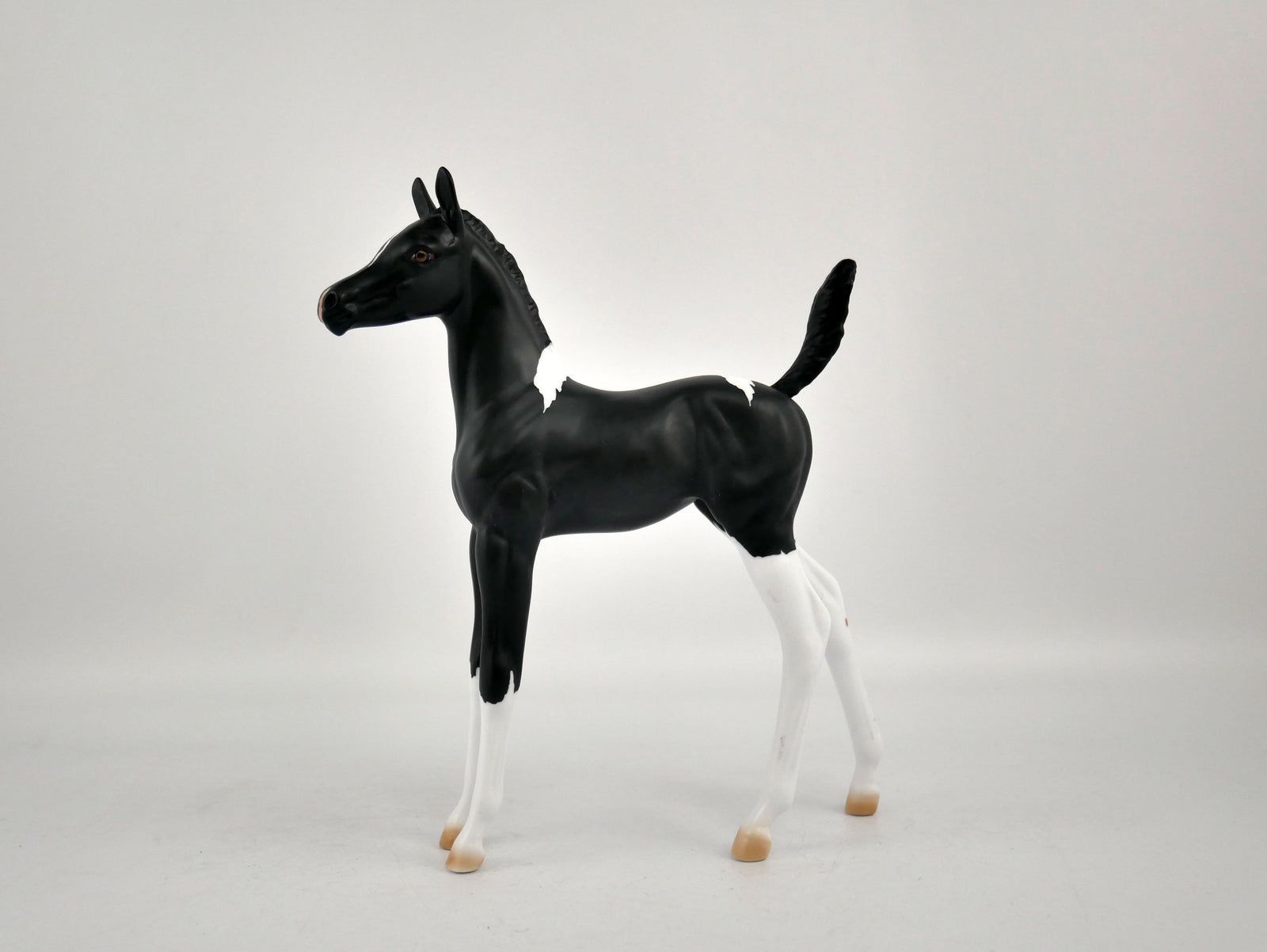 SHADOW-OOAK BLACK TOBIANO FOAL BY ELLEN ROBBINS 12/09/20