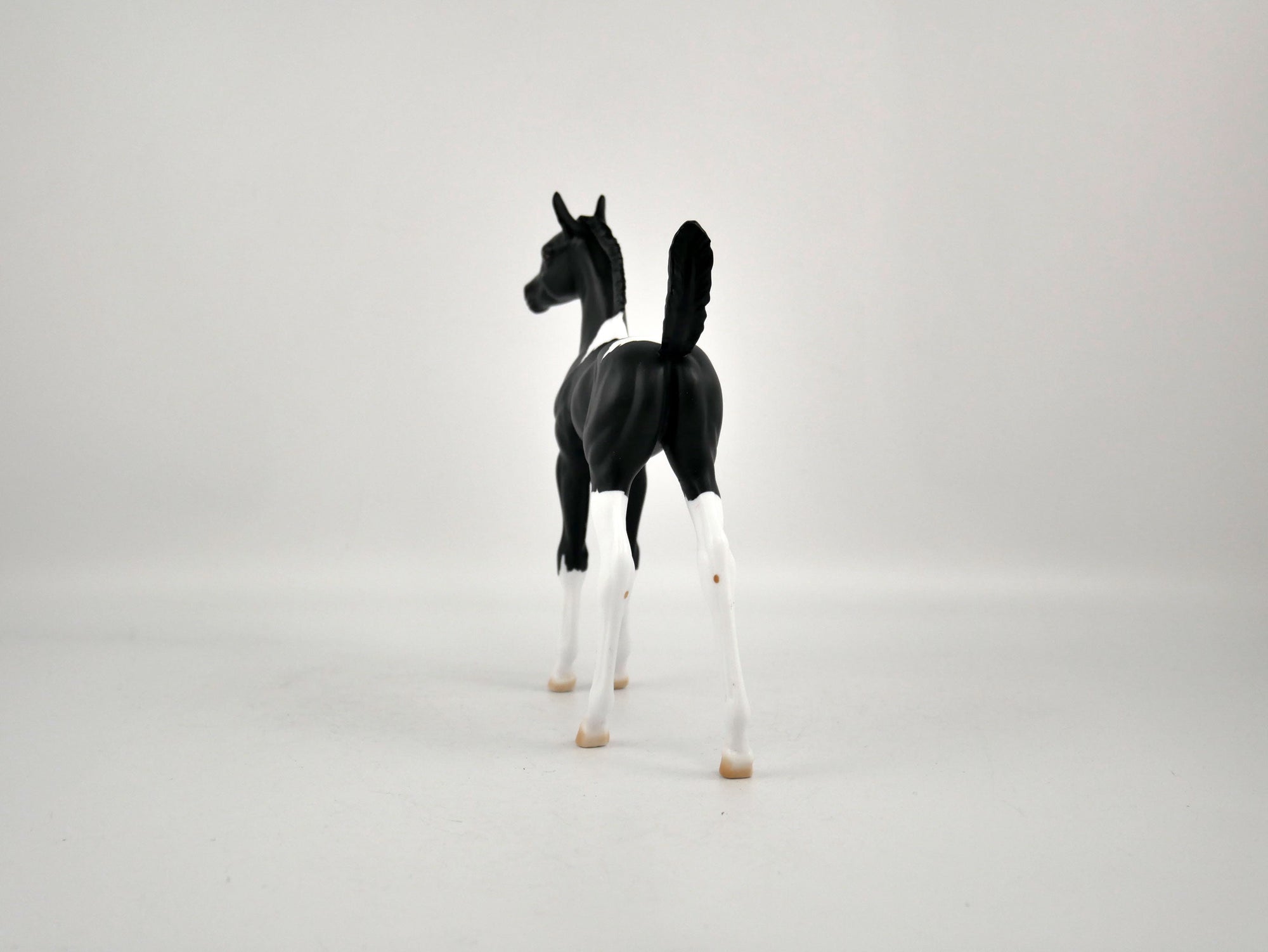 SHADOW-OOAK BLACK TOBIANO FOAL BY ELLEN ROBBINS 12/09/20