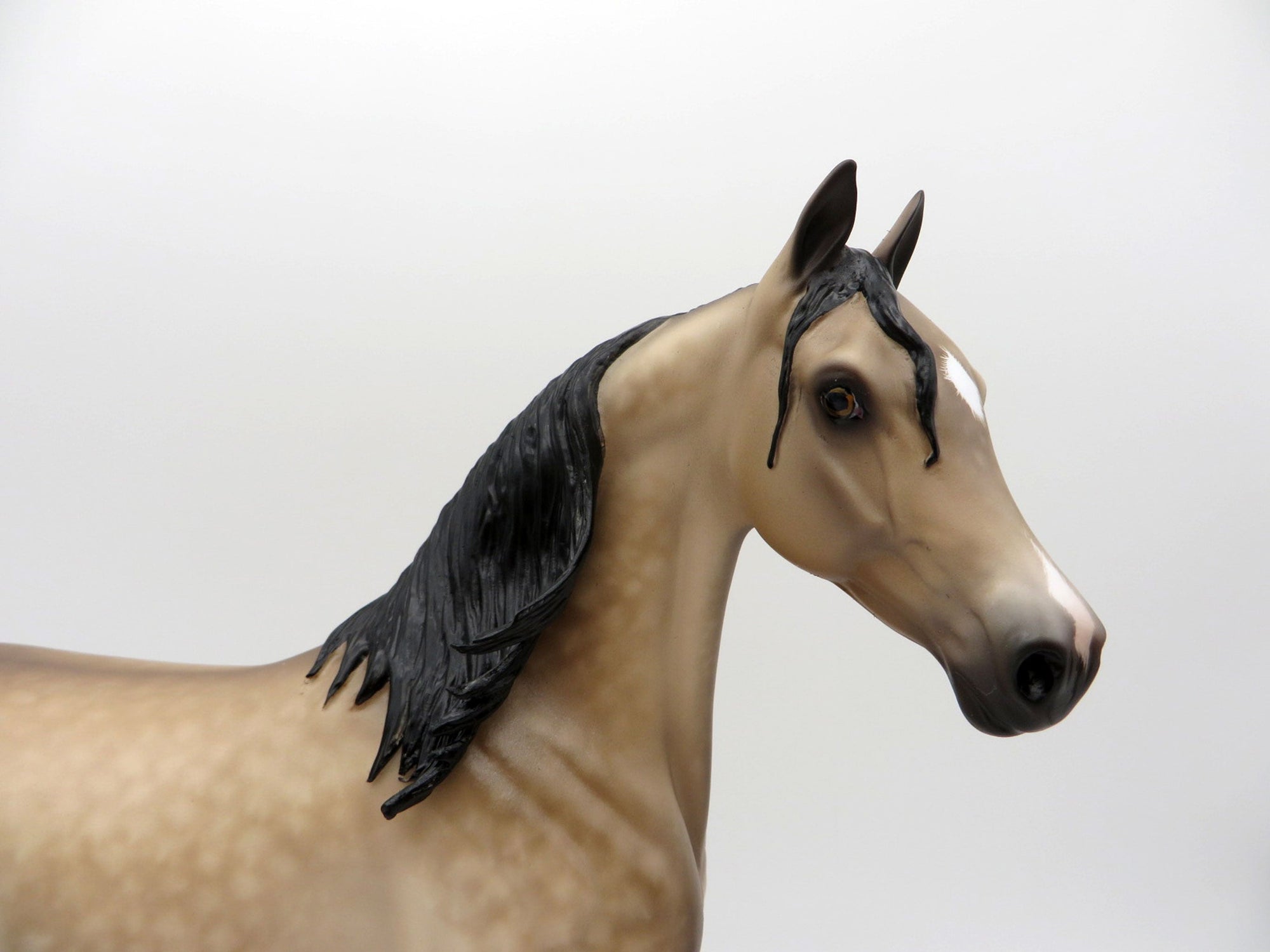 Shake it Up-OOAK Dapple Buckskin Arabian Mare Painted by Sheryl Leisure 7/26/21